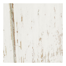 Wood Sample - White Recycled Elm for BAO line